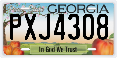 GA license plate PXJ4308