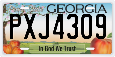 GA license plate PXJ4309