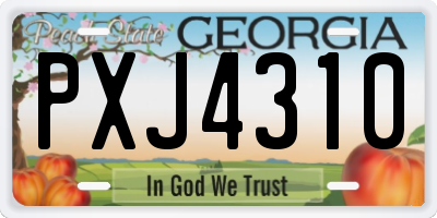 GA license plate PXJ4310