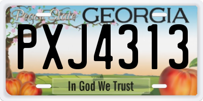 GA license plate PXJ4313