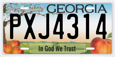 GA license plate PXJ4314