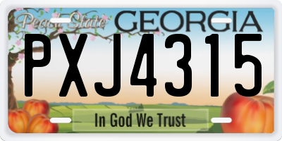 GA license plate PXJ4315