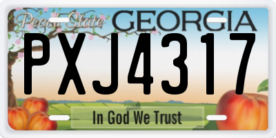 GA license plate PXJ4317