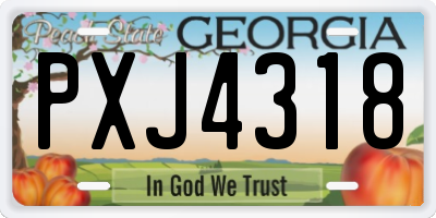 GA license plate PXJ4318