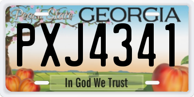 GA license plate PXJ4341