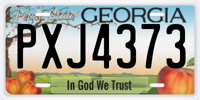 GA license plate PXJ4373