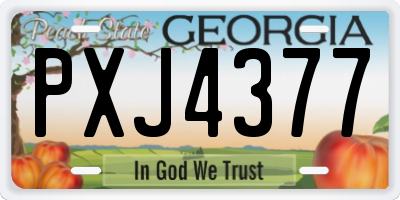 GA license plate PXJ4377