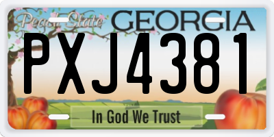 GA license plate PXJ4381