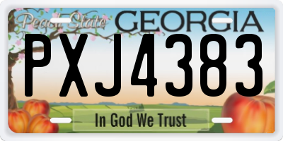 GA license plate PXJ4383
