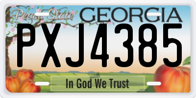 GA license plate PXJ4385