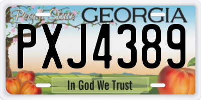 GA license plate PXJ4389