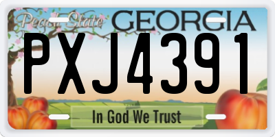 GA license plate PXJ4391