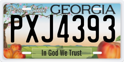 GA license plate PXJ4393