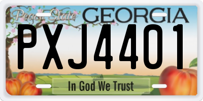 GA license plate PXJ4401