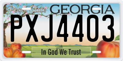 GA license plate PXJ4403