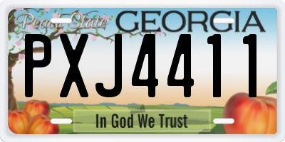 GA license plate PXJ4411