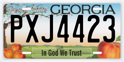 GA license plate PXJ4423