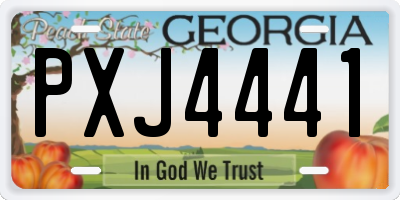 GA license plate PXJ4441