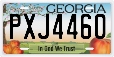 GA license plate PXJ4460