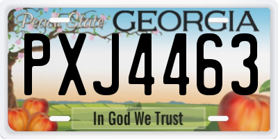 GA license plate PXJ4463