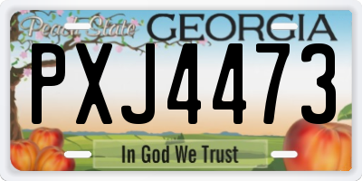 GA license plate PXJ4473