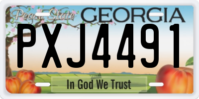 GA license plate PXJ4491