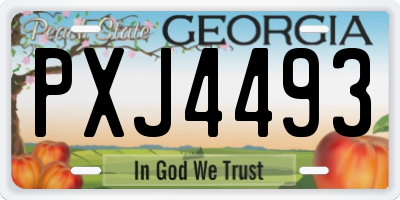 GA license plate PXJ4493