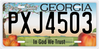 GA license plate PXJ4503