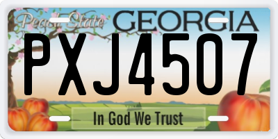GA license plate PXJ4507