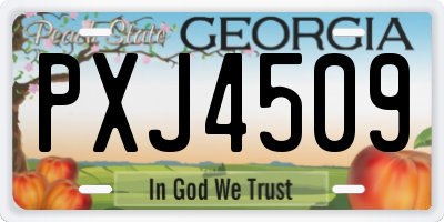GA license plate PXJ4509