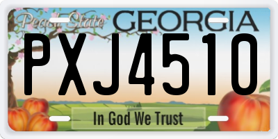 GA license plate PXJ4510