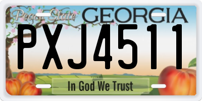 GA license plate PXJ4511