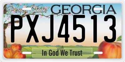 GA license plate PXJ4513