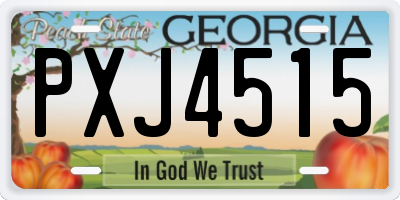 GA license plate PXJ4515
