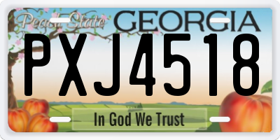 GA license plate PXJ4518