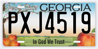 GA license plate PXJ4519