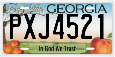 GA license plate PXJ4521
