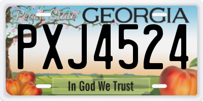GA license plate PXJ4524