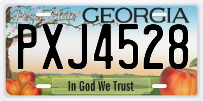 GA license plate PXJ4528
