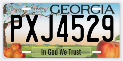 GA license plate PXJ4529