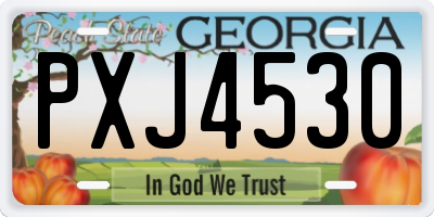 GA license plate PXJ4530