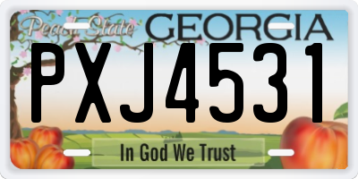 GA license plate PXJ4531