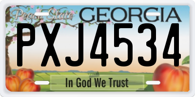 GA license plate PXJ4534