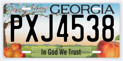 GA license plate PXJ4538