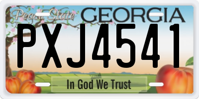 GA license plate PXJ4541