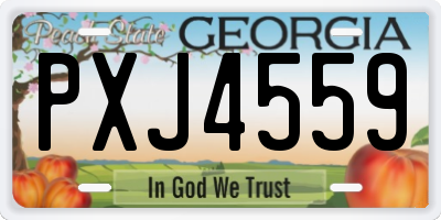 GA license plate PXJ4559