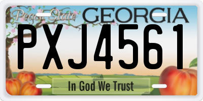 GA license plate PXJ4561