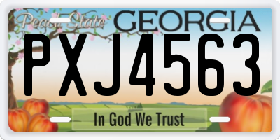 GA license plate PXJ4563