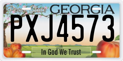 GA license plate PXJ4573
