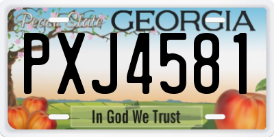 GA license plate PXJ4581